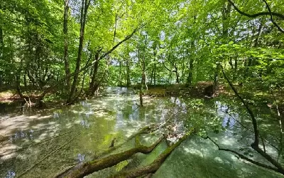 Plitvicei Tavak csoportos kirándulás