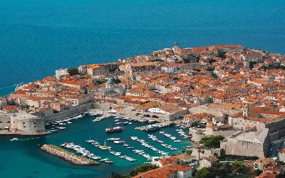 Mandarinszüret a Balkánon