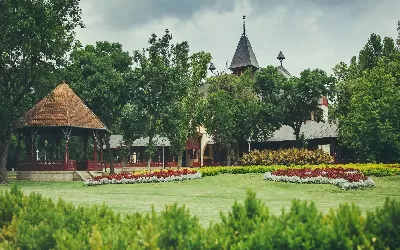 🚌 Vajdasági körutazás Tiszavirág Fesztivállal fűszerezve 🦋