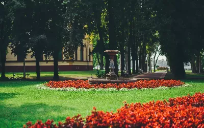 🚌 Vajdasági körutazás Tiszavirág Fesztivállal fűszerezve 🦋